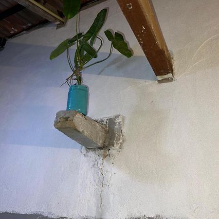 Cactus Arugambay Vandrehjem Arugam Bay Eksteriør billede