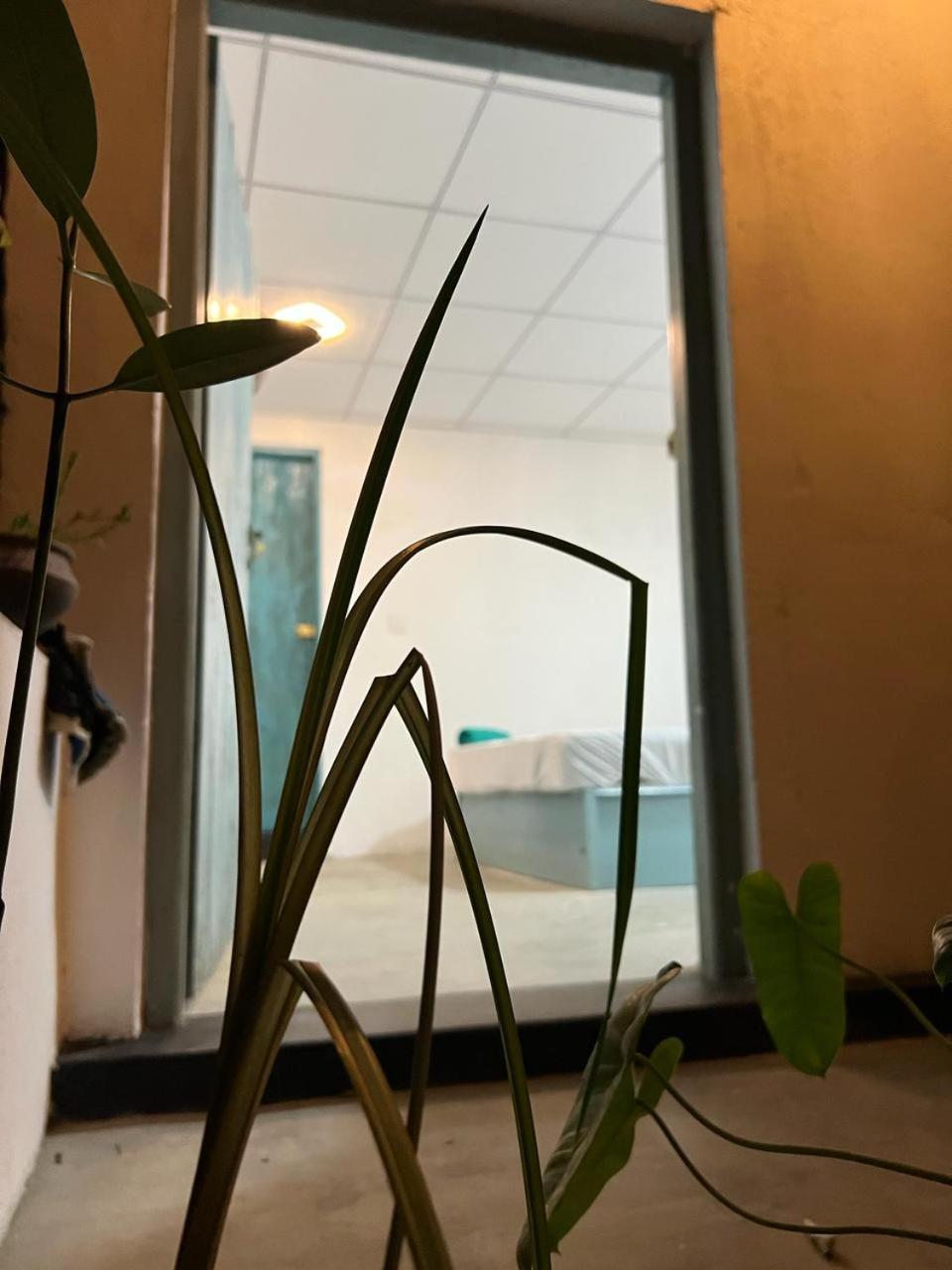 Cactus Arugambay Vandrehjem Arugam Bay Eksteriør billede