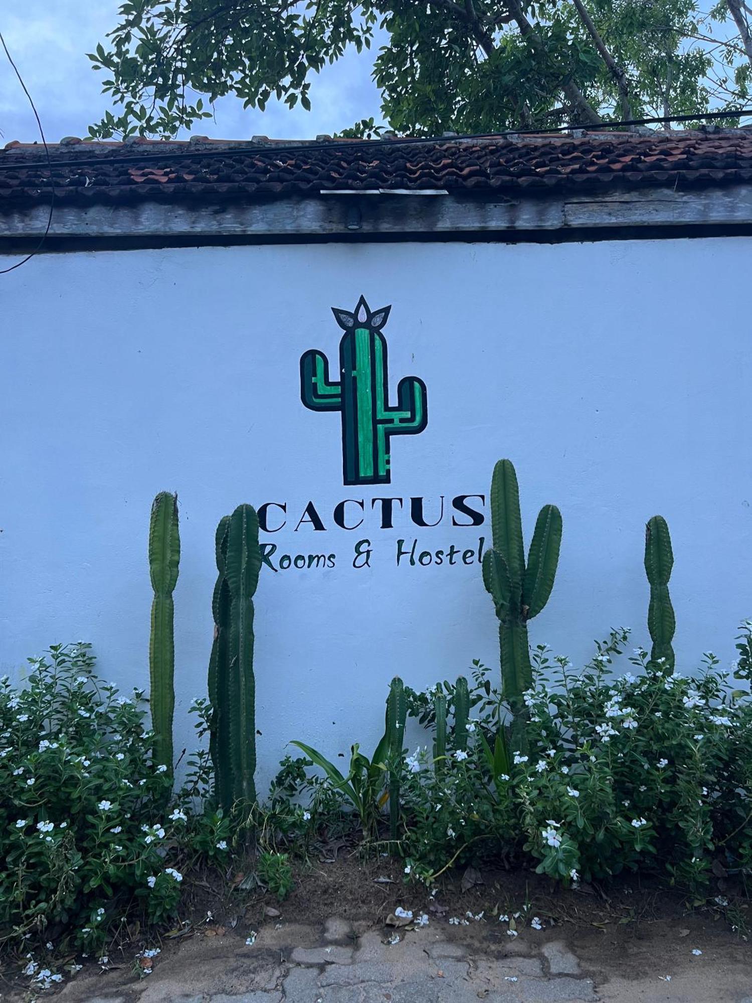 Cactus Arugambay Vandrehjem Arugam Bay Eksteriør billede